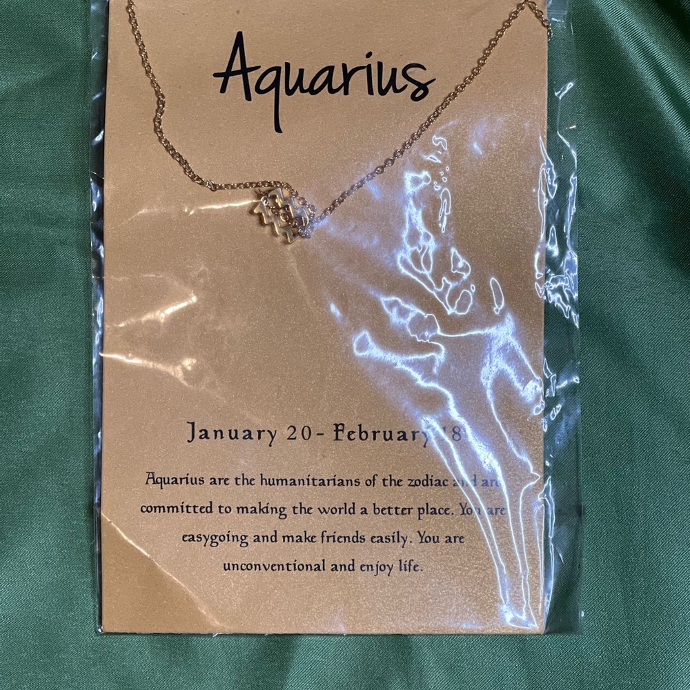 Aquarius Gold Necklace